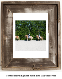 horseback riding near me in Live Oak, California